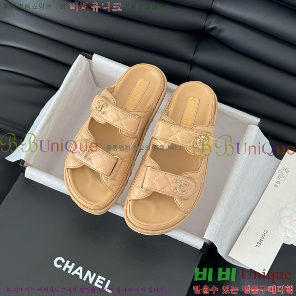   19 ũ CCΰ   31CH746016-2