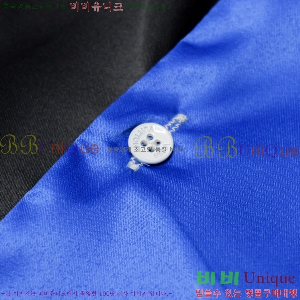  ̺   LV84529517
