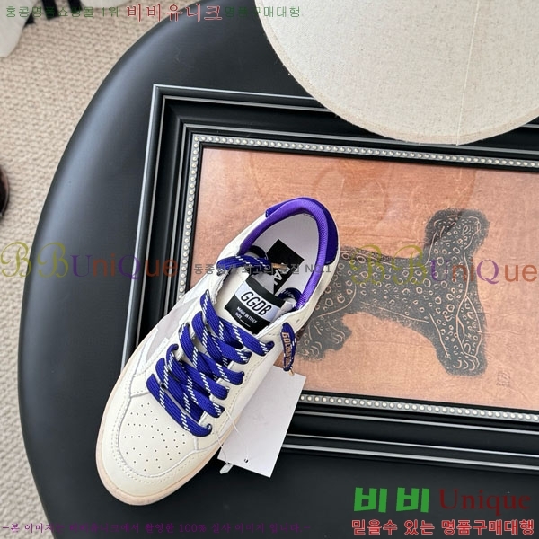  籸 Ŀ GD2511106