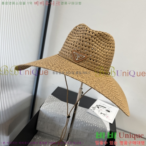   PR2568137-1