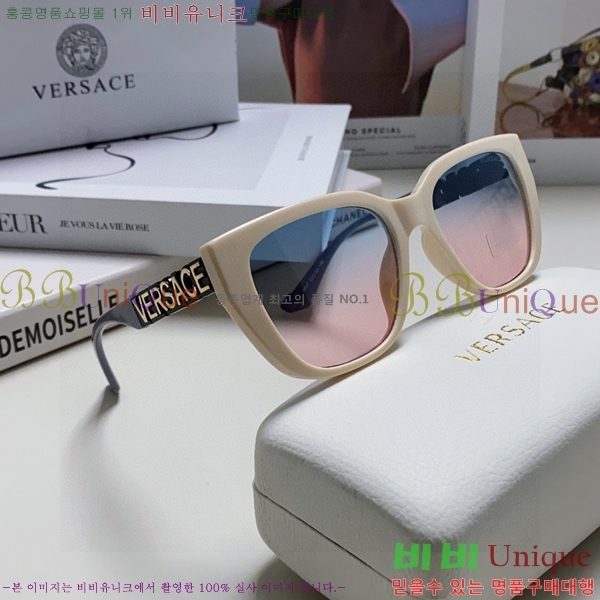 ������ü ���۶� VE102295-2