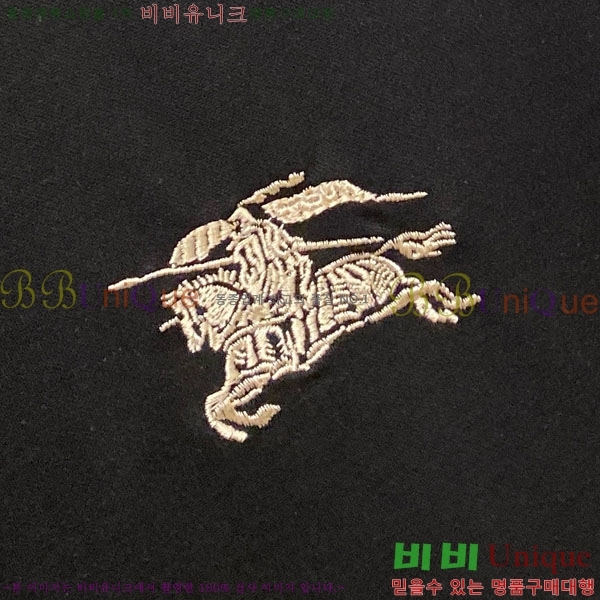   Ƽ BU256473-2