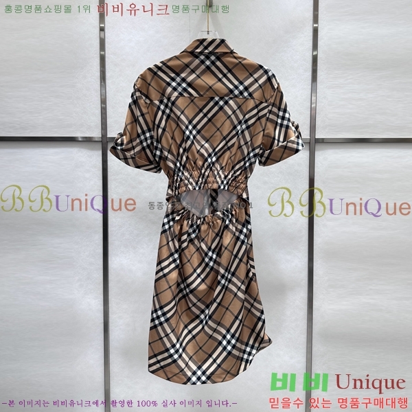   ǽ BUR2120313-6