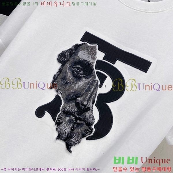   Ƽ BU256484-1