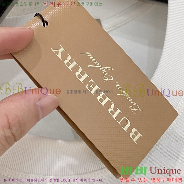    Ƽ BU251241-1