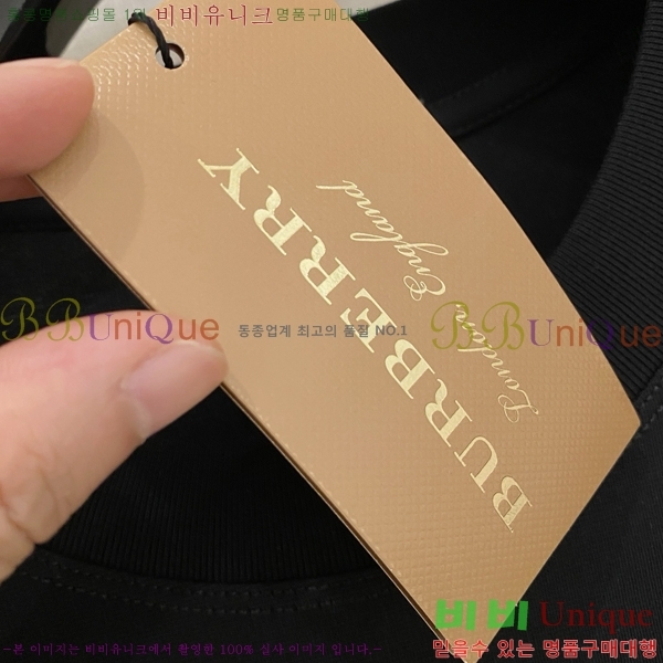    Ƽ BU251241-2