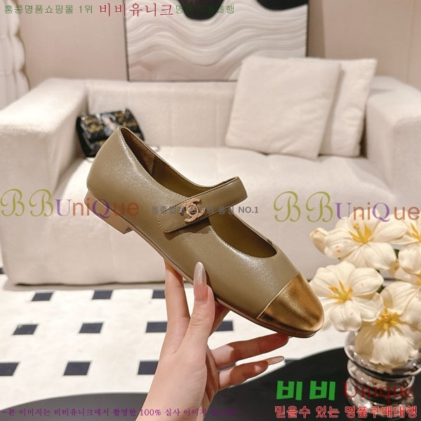 * ޸ ÷ RP011783-1