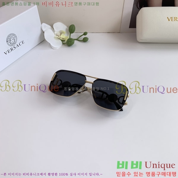 ������ü ���۶� VE102299-3