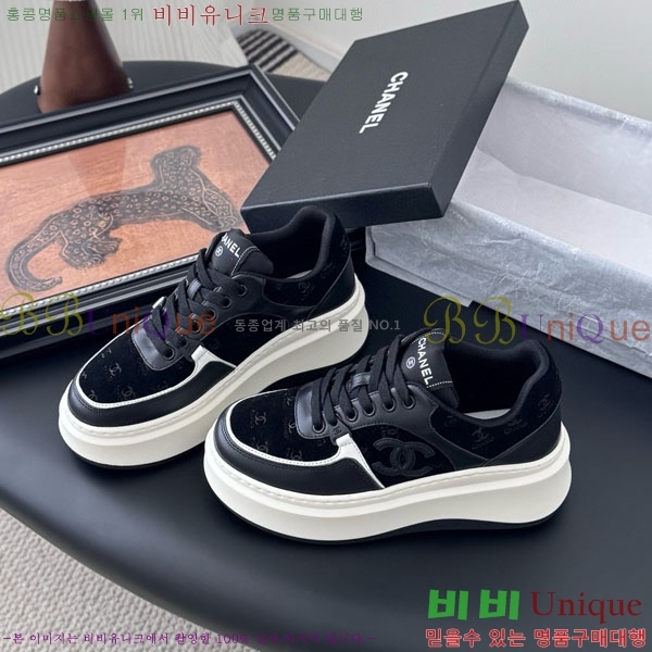  * Ŀ WP66077-11