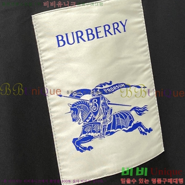    BU23736