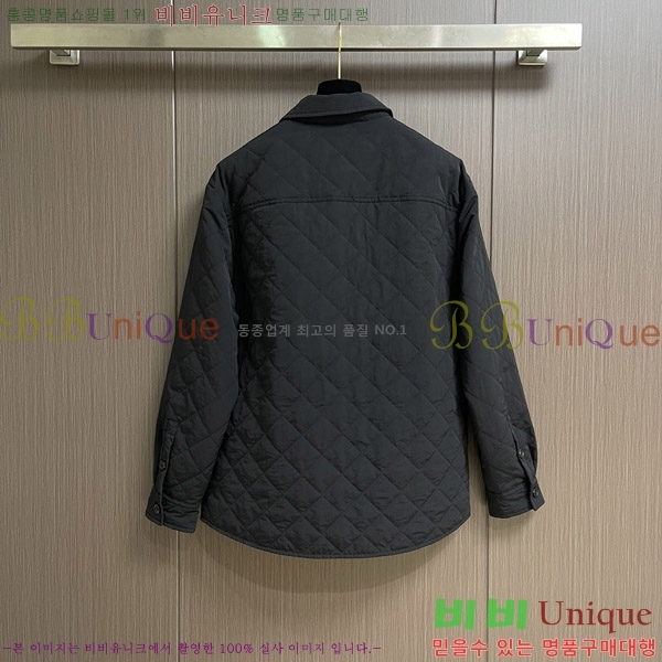 ���� ���װ�����Ÿ ���� BV132351