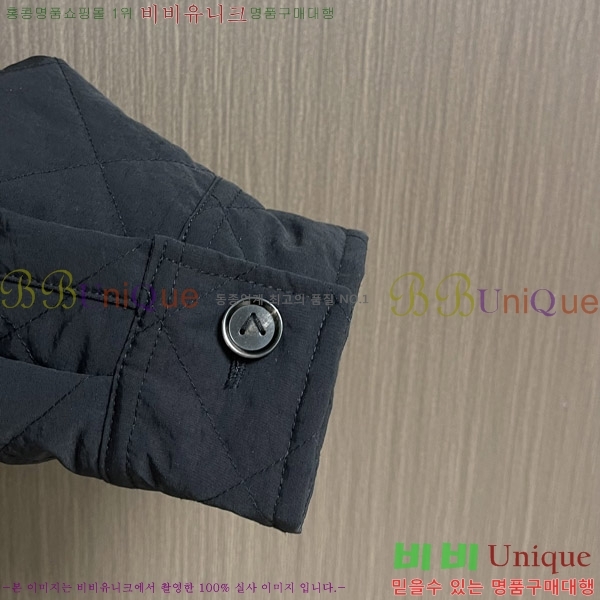 ���� ���װ�����Ÿ ���� BV132351