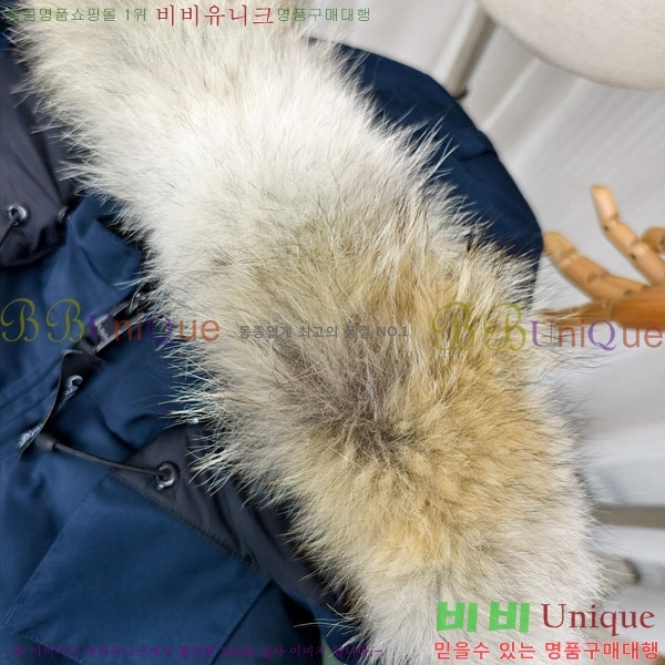 ���� ĳ���ٱ��� �ٿ� �е� CAG65783-9