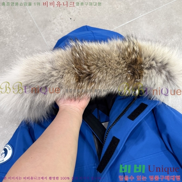 ĳ����*�� �ͽ����� �ٿ� �е� 60CA2511293-7