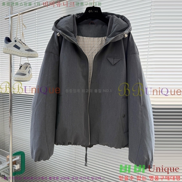 ���� ���װ�����Ÿ �淮 �е� BV242879