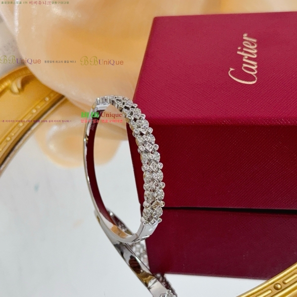 �������� ��쿡 ���� CAR33403-5