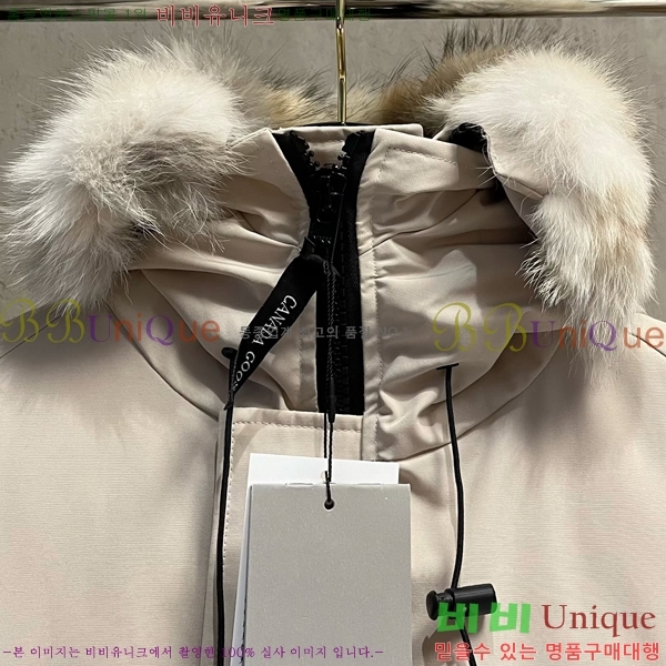 ���� ĳ���ٱ��� �ٿ� �е� CAG157489-2