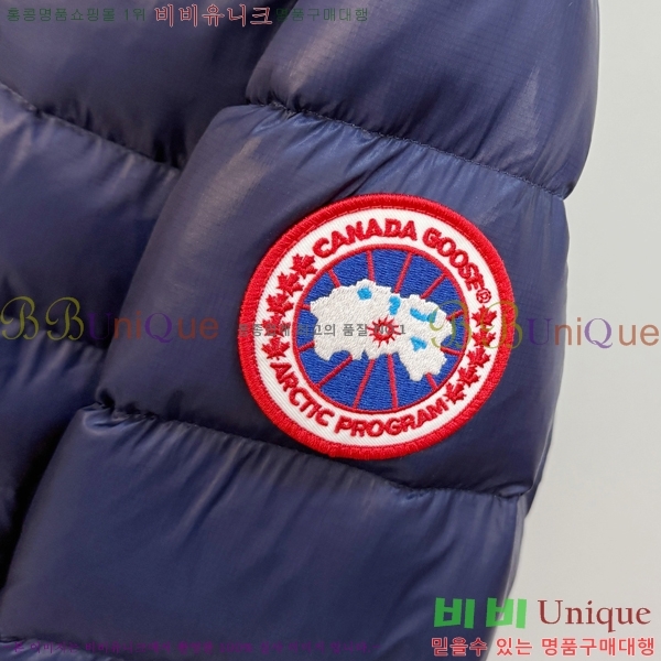 �������� ĳ���ٱ��� �ٿ� �е� CAG215557-3