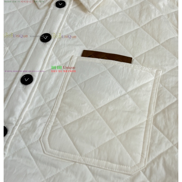 ���� ���װ�����Ÿ �淮 �е� BV242880-1