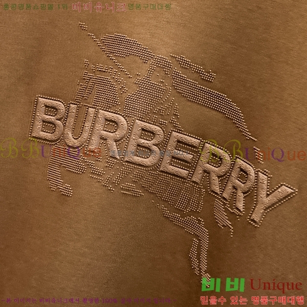 ���� ������ ������ B8452743-2